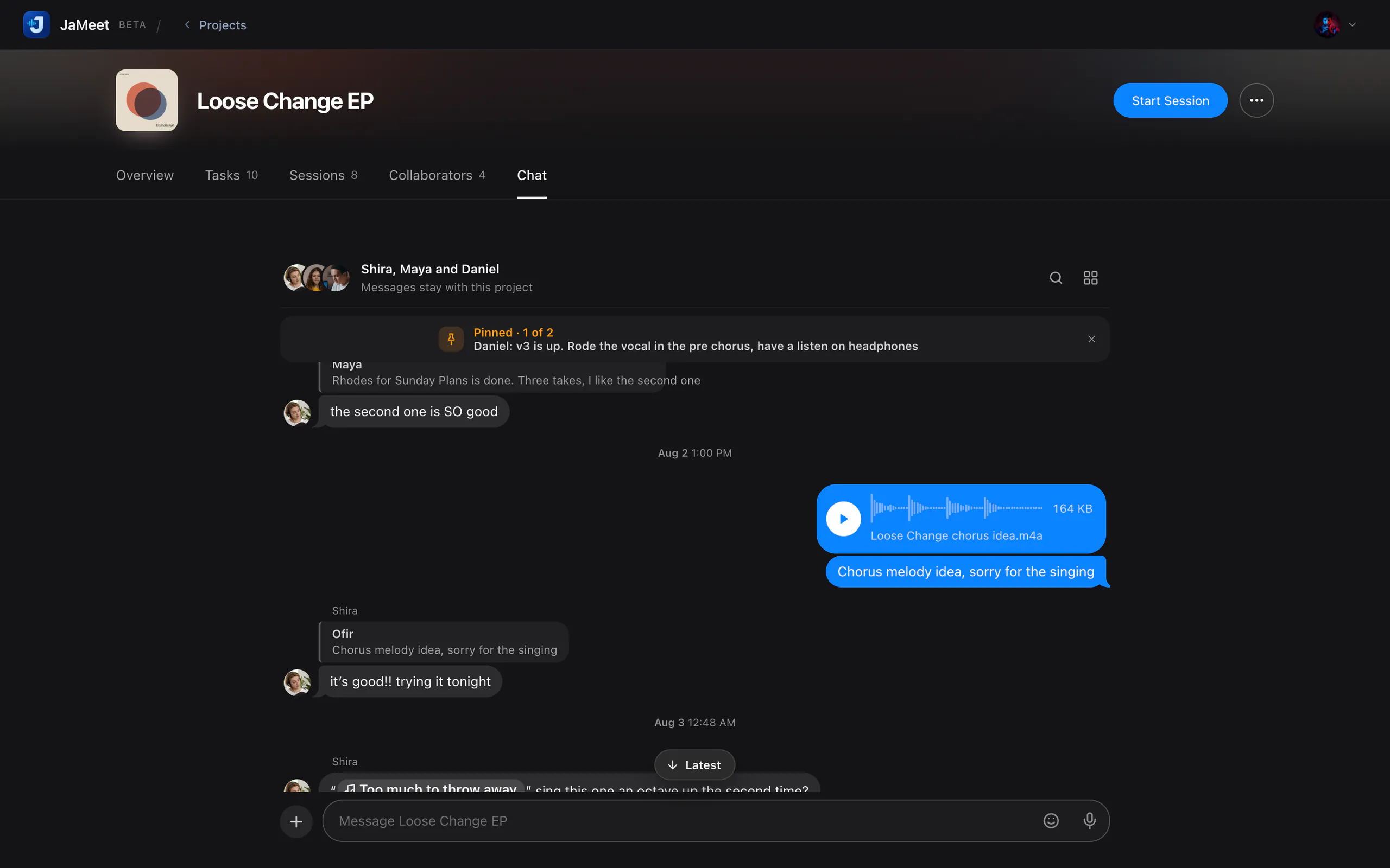 A project chat with a pinned message, replies and a voice note.